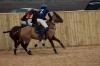 Oxford Polo 2023_01_22 0037
